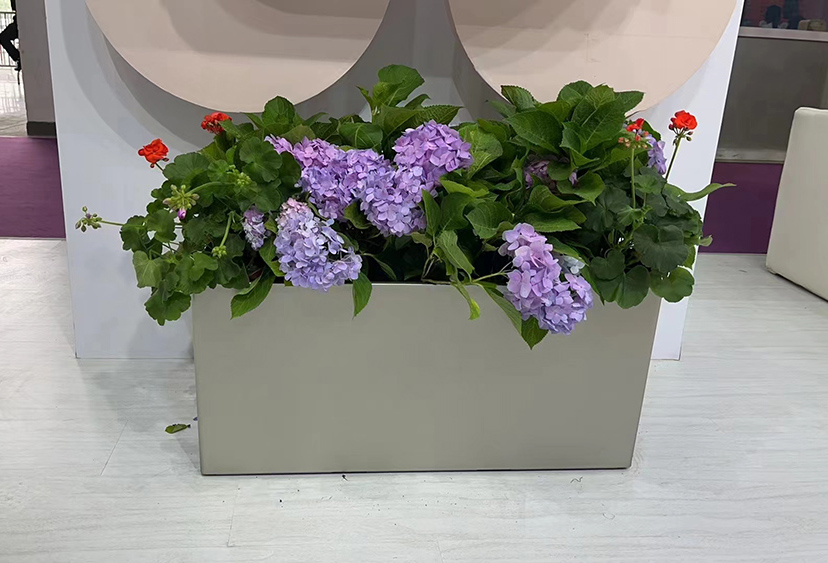 綠化租擺 綠化租擺