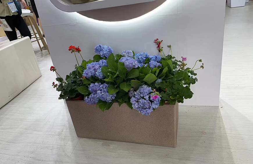 綠化租擺 綠化租擺