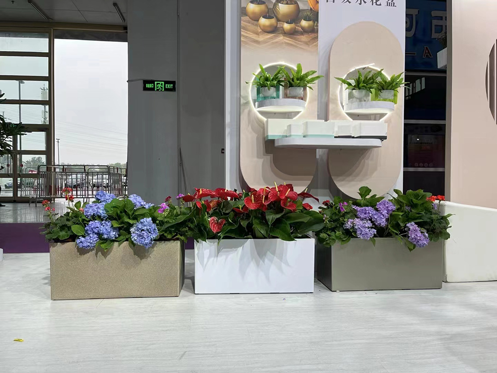 辦公室綠植租賃平臺(tái)如何選擇呢?有哪些注意事項(xiàng)呢?