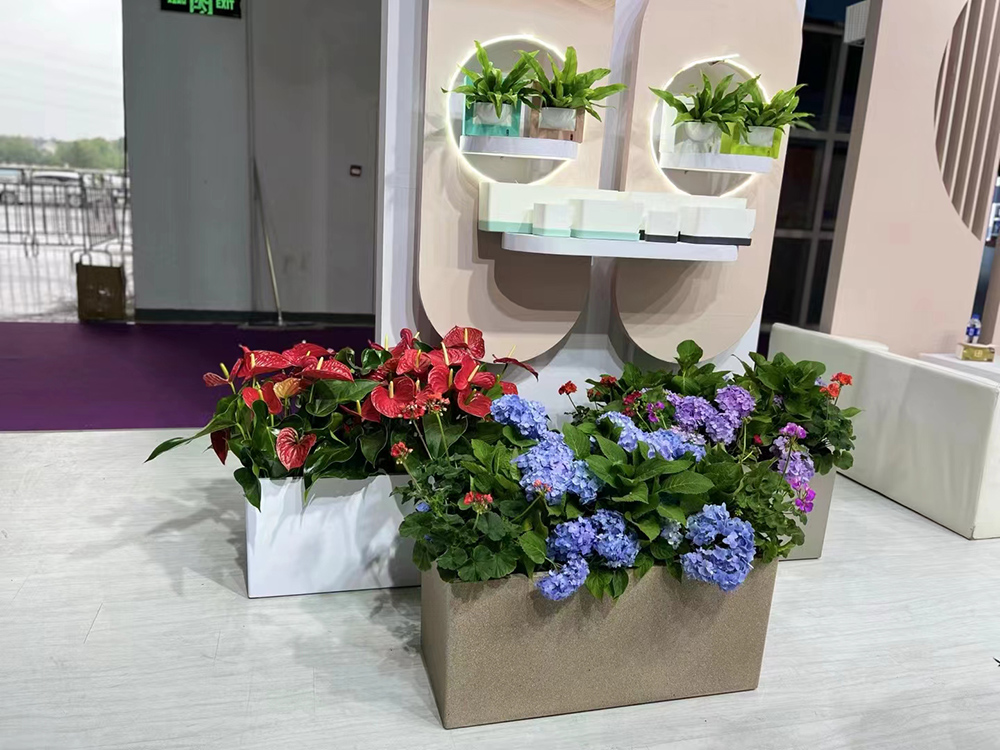 綠化租擺 綠化租擺