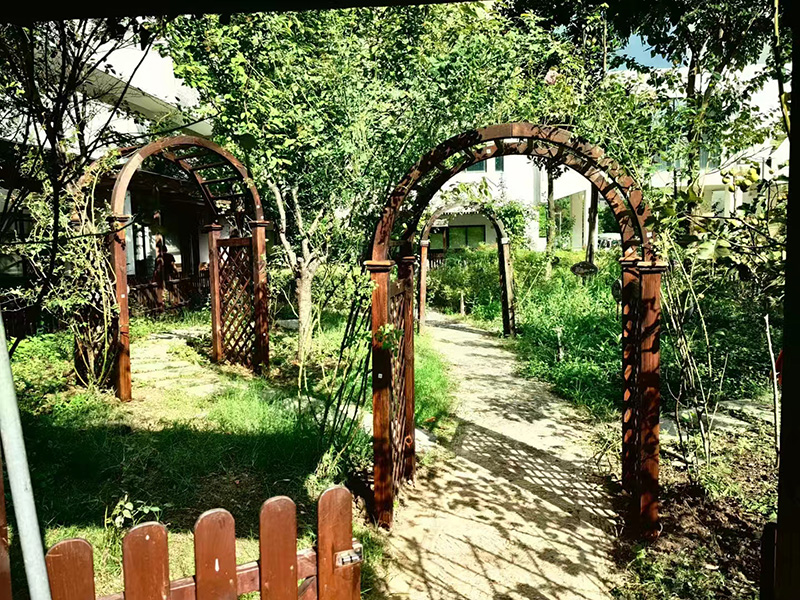 斜塘學(xué)校百草園安裝拱門花架 斜塘學(xué)校百草園安裝拱門花架