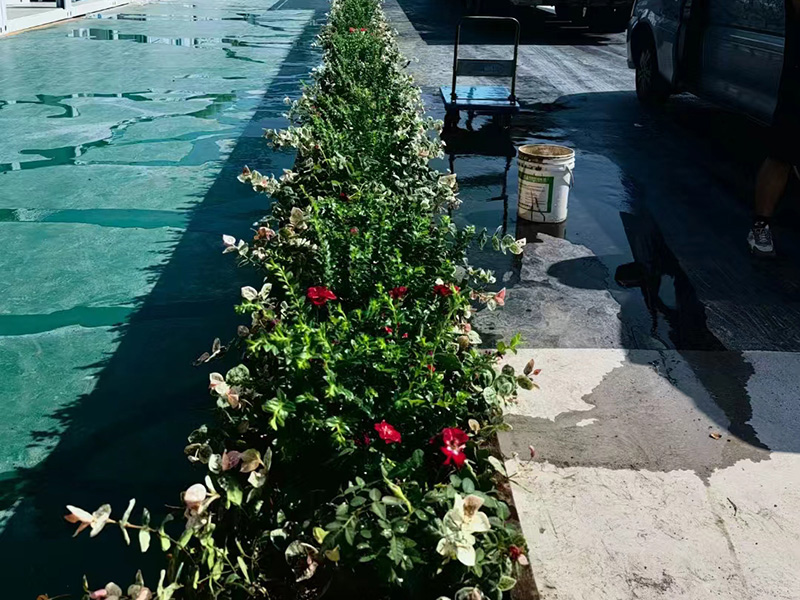 上海中鐵三局項(xiàng)目部添光彩 上海中鐵三局項(xiàng)目部添光彩